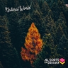 Beauty Of Nature album cover
